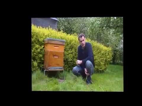 comment demarrer apiculture
