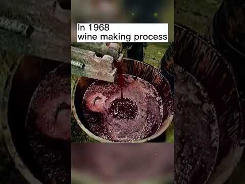 In 1968 .wine making process  #vintage #fyp #history