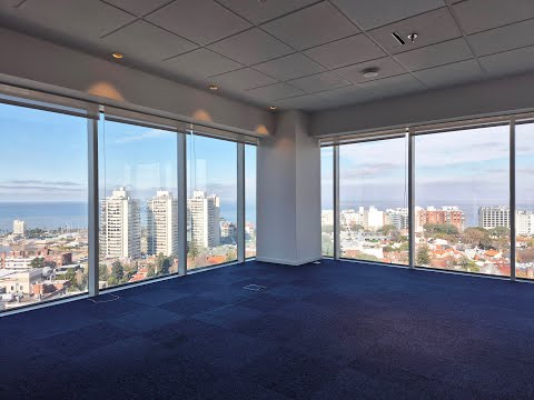 Video de YouTube - Oficina en Alquiler de 11 ambientes  en Pocitos Nuevo, Montevideo