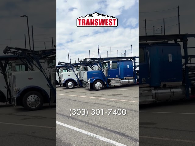 Preview image of Car Haulers available at Transwest youtube video