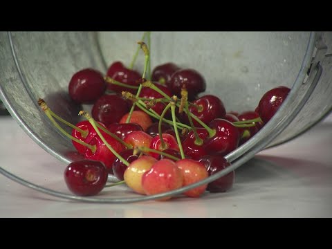 Farm to Fork: Local farmers market showcasing fresh produce