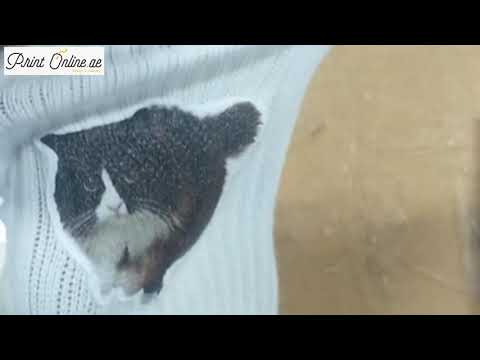 Video 1