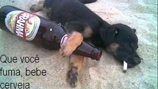 Se intrometeu - Michel Teló (Legendado)