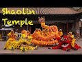 A WEEK in the SHAOLIN TEMPLE | Learn KUNG FU in CHINA | Yunnan Shaolin Temple PART I