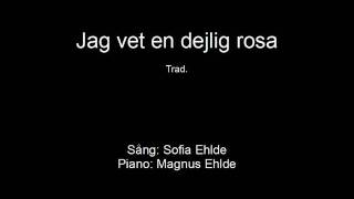 Jag vet en dejlig rosa