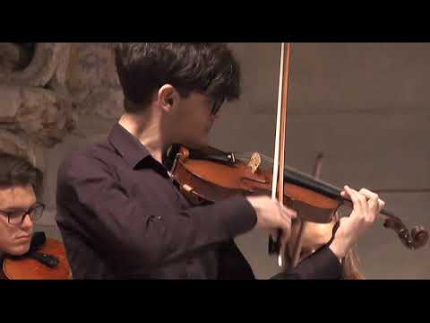 Concerto di Natale, III