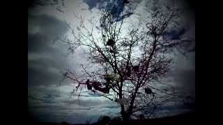 Aesthetics of unconscious living