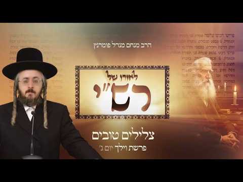 לאורו של רש"י - יום ג' פרשת וילך
