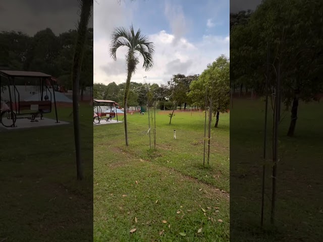 4 Room (4A) HDB for Sale in  224 Bishan Street 23 - Image 8