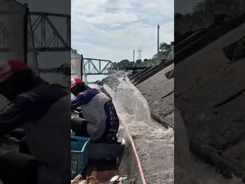 subienda de pescado en puerto berrio Antioquia