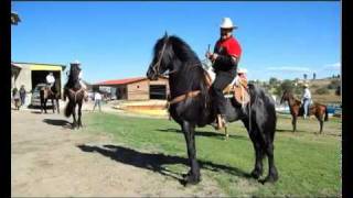 El Komander - Corrido de Piedad Ayala