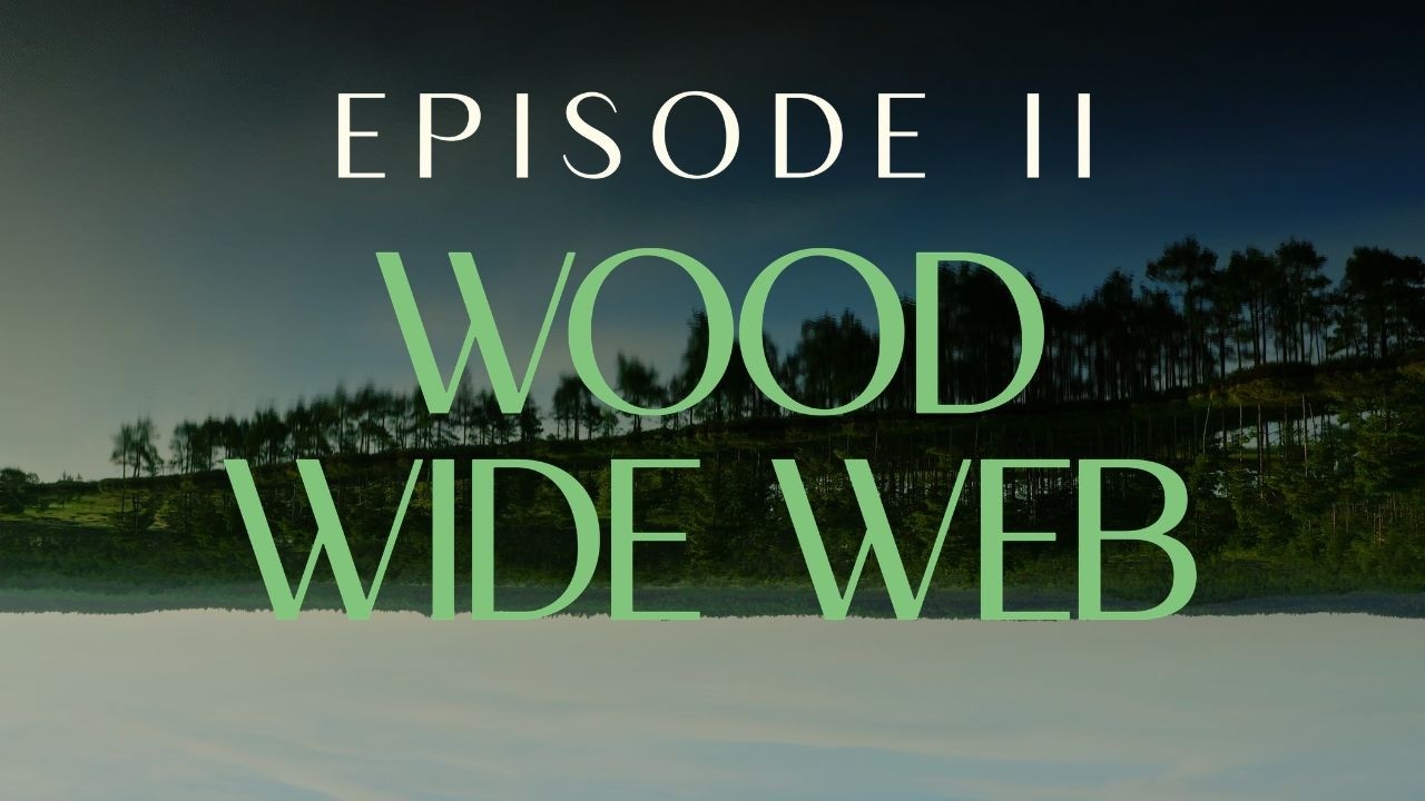 Choose Earth — CHOOSE EARTH II - WOOD WIDE WEB