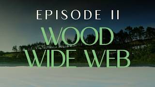 CHOOSE EARTH II - WOOD WIDE WEB