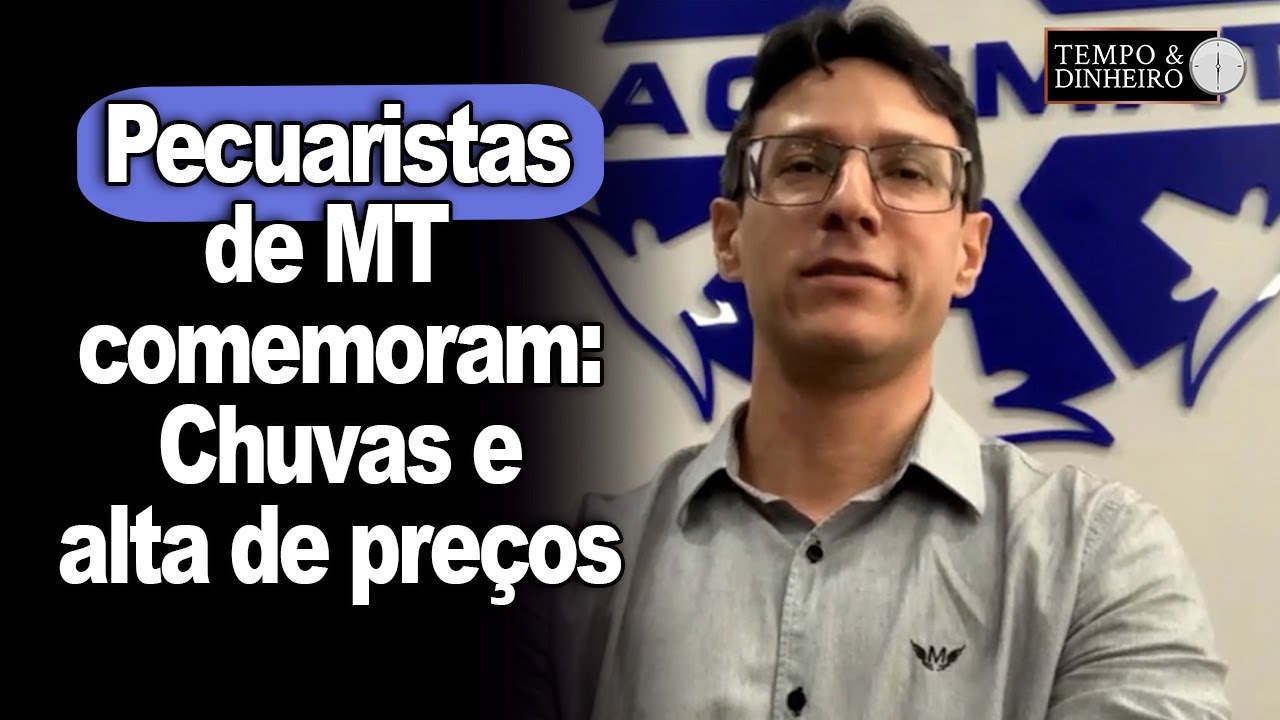 Boi gordo: pecuaristas de MT comemoram volta das chuvas e preços em alta