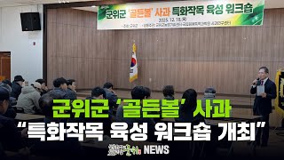 [군위뉴스] 군위군 ‘골든볼’ 사과 ... 