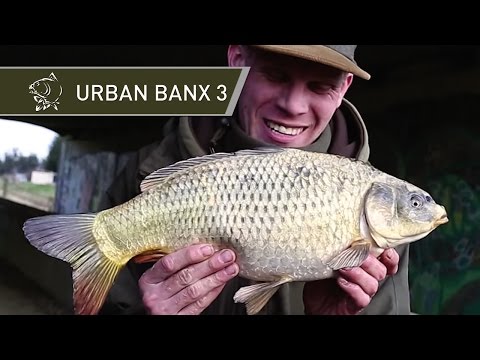 URBAN TIDAL RIVER CARP FISHING - URBAN BANX 3 ALAN BLAIR ON TIDAL RIVERS - RIVER CROUCH ESSEX