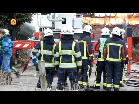 Woonboerderij met rieten kap in Boxtel verloren