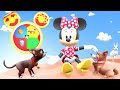 Minnie S Pet Salon Mickey Mouse Clubhouse Oh Toodles Full Episode
