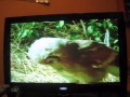 Shamu And You Exploring The World Of Birds Last Part
