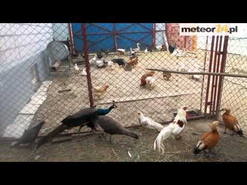 Gospodarstwo Agroturystyczne U Lidii - Śniadka Druga meteor24.pl