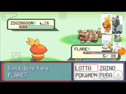 Evoluzione e prima palestra