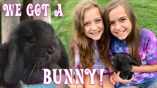 We Got A Bunny! | Crazy8Family