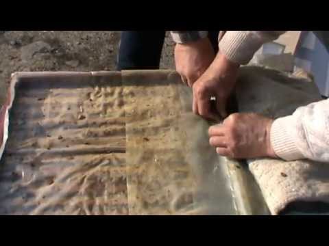 1/3 Problema familiei de albine fara matca rezolvata rapid pe "Bio Stup - Ioan Ursu" - Apicultura