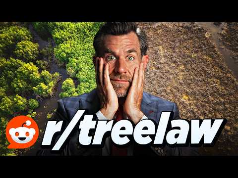 Reddit Law