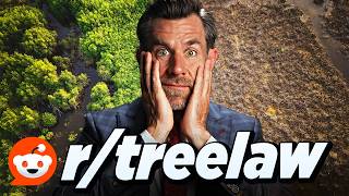 Reddit's Tree Lawyers Are Losing Their Minds
