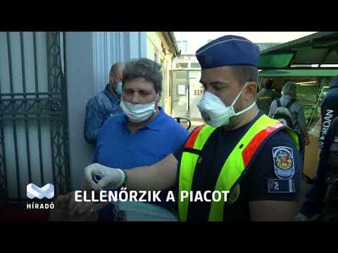 Videó előnézet