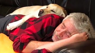 These dogs prove every elder should have one by their side 🥰
