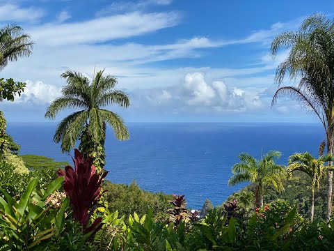 Day 2 in Maui, Hawaii | Road to Hana | It's the Journey, not the Destination..!!