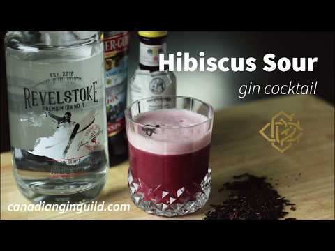 How to Make the Hibiscus Sour | Cocktail Recipes