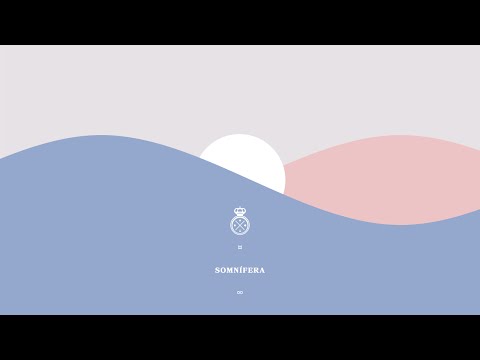 The Guadaloops - Somnífera (Visualizer)