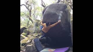 Video thumbnail of Mossatrocity, 7c. Peak District