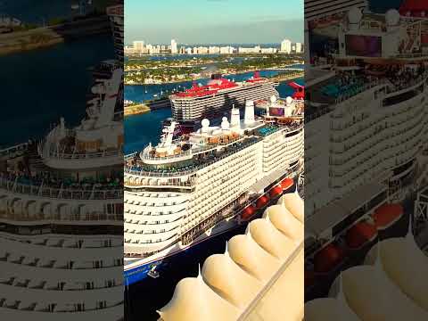 Thumbnail for #youtubeshorts #youtubevideo#star of the seas cruise ship#carnival adventure cruiseship