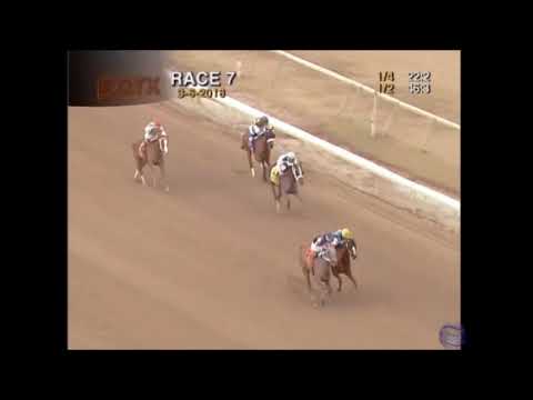 Dixie Serenade wins PARX Mar 6