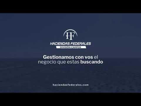 Campo mixto en Gato Colorado (Santa Fe) – 5.497 hectáreas de alto potencial productivo