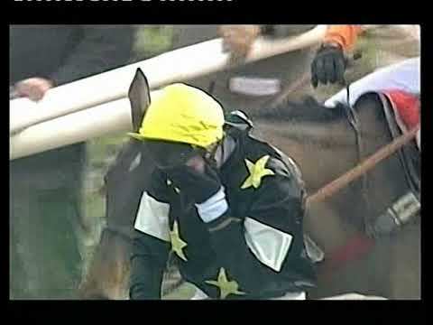 1995 Christies Foxhunters Chase Fantus