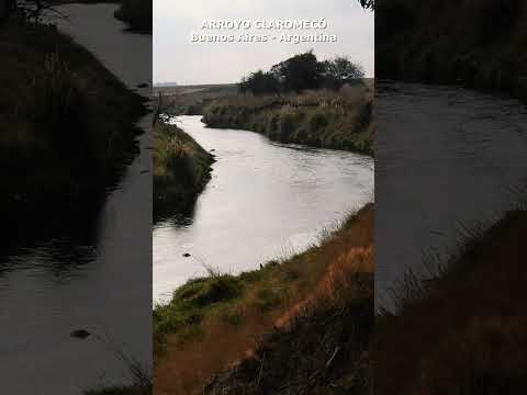 ARROYO CLAROMECÓ #shorts #short #claromeco #trip #ride #tresarroyos #viajes #buenosaires #argentina