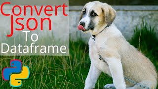 HOW TO PARSE NESTED JSON AND CONVERT TO DATAFRAME | STOCK EXAMPLE  3 DIFFERENT WAYS | PYTHON