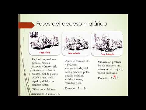 MALARIA-NOSOGRAFIA- DRA POCATERRA