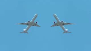 Gold Panda - Metal Bird (Music Video)