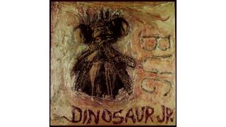 Dinosaur jr. - Freak Scene