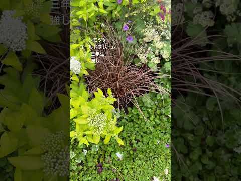 コールドフレームの作り方は？春に向けて準備万端！  庭園