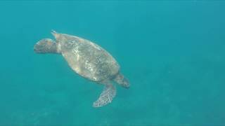 Spring 2018 Vacation - Kauai