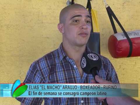 MACHO ARAUJO CAMPEON LATINO