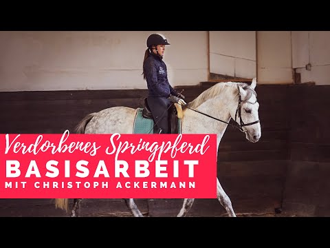 Verdorbenes Springpferd - Arbeit an der Basis mit Christoph Ackermann