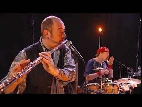Secret Language of Birds video
