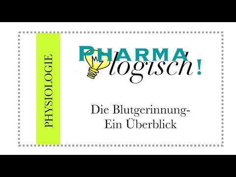 Die Blutgerinnung - ein Überblick